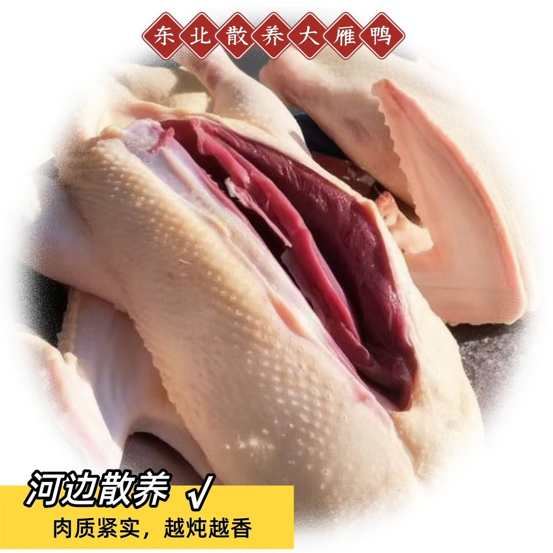 东北特产大雁鸭礼盒