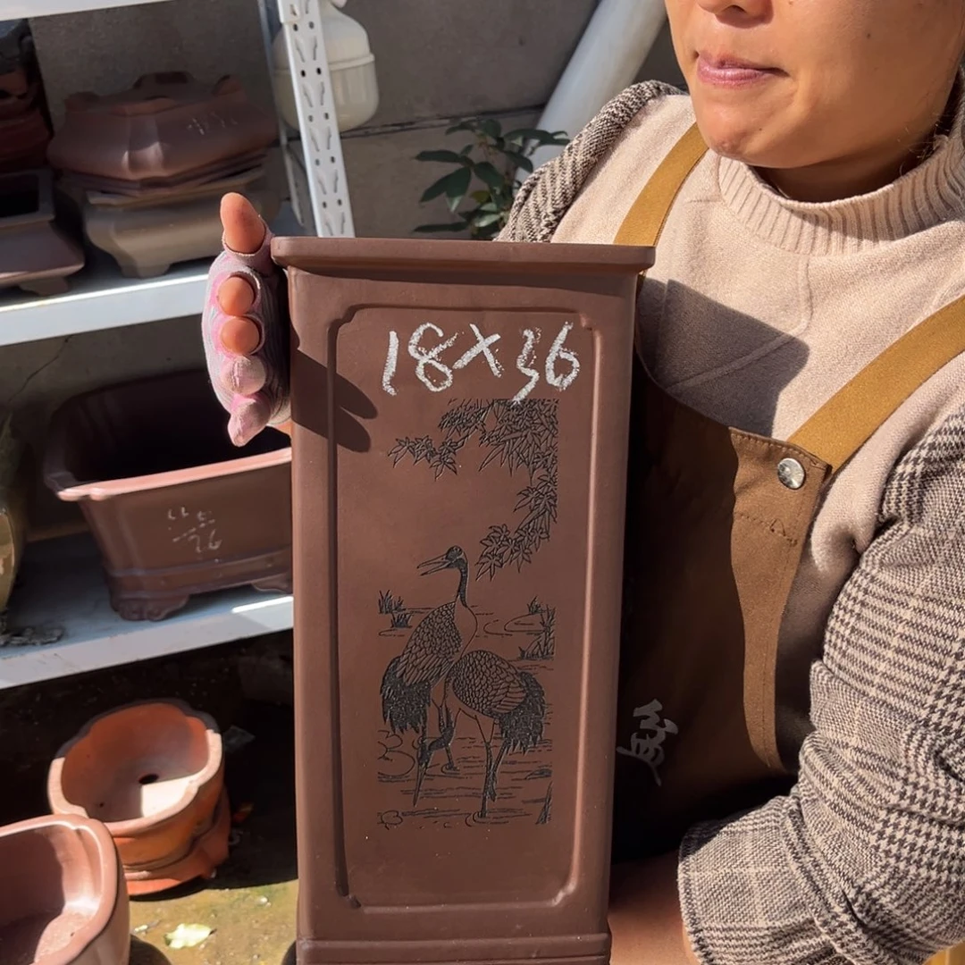 花盆紫砂盆景艺术
