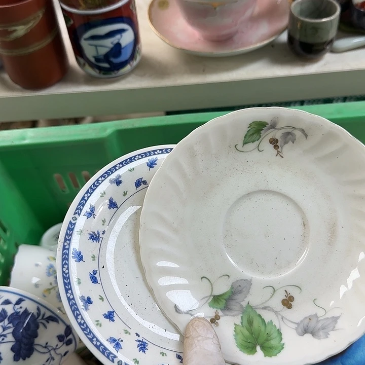碟开播啦….开播啦