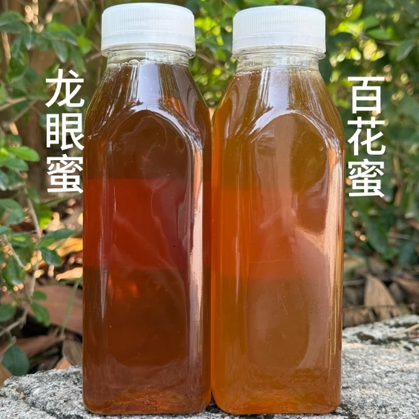 土蜂蜜百花蜜、广西龙眼蜜2025新蜜保真 延缓滋补滋润漂亮养生佳品