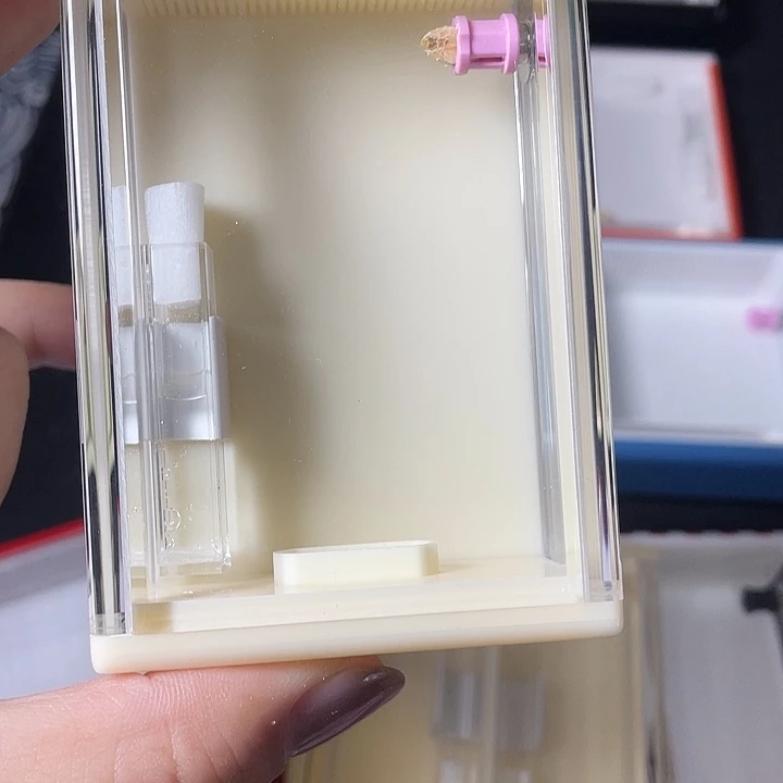 蟋蟀哈哈哈哈哈哈哈哈哈