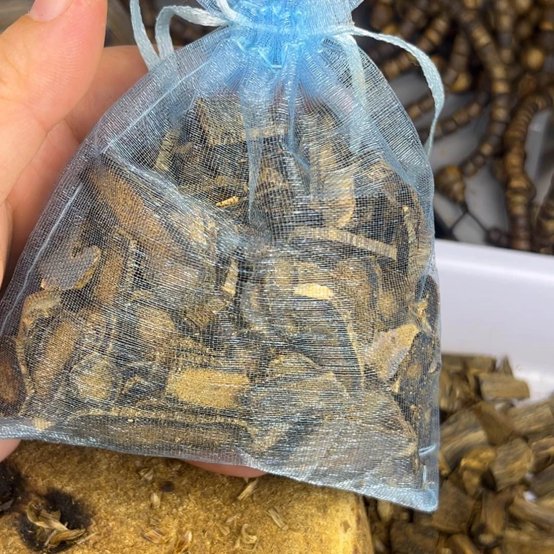 沉香沉香碎屑透顶绿高油锯片50克