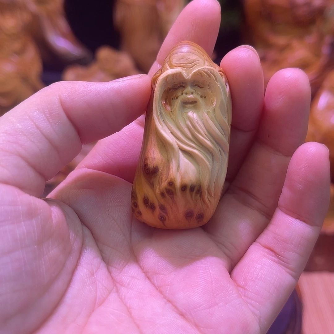 柏木888888888888888888