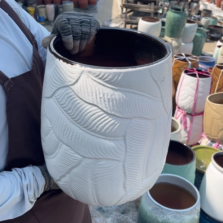 口20高31正品正品