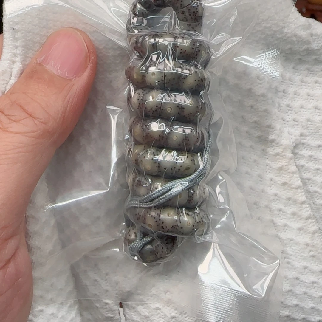 星月菩提手串?****❀糯冰大肠8mm