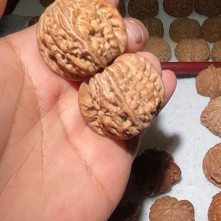 木41全品山地磨盘。