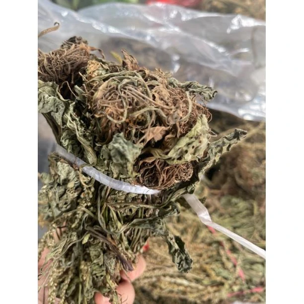 粤北野生车前草250克农产品根茎