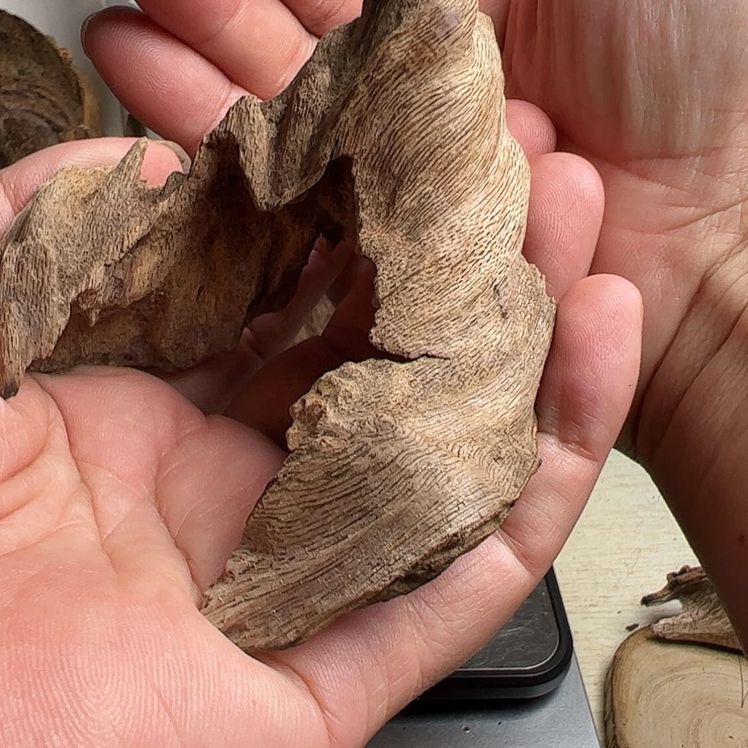 沉香沉香碎屑老挝沉香土沉20.7克