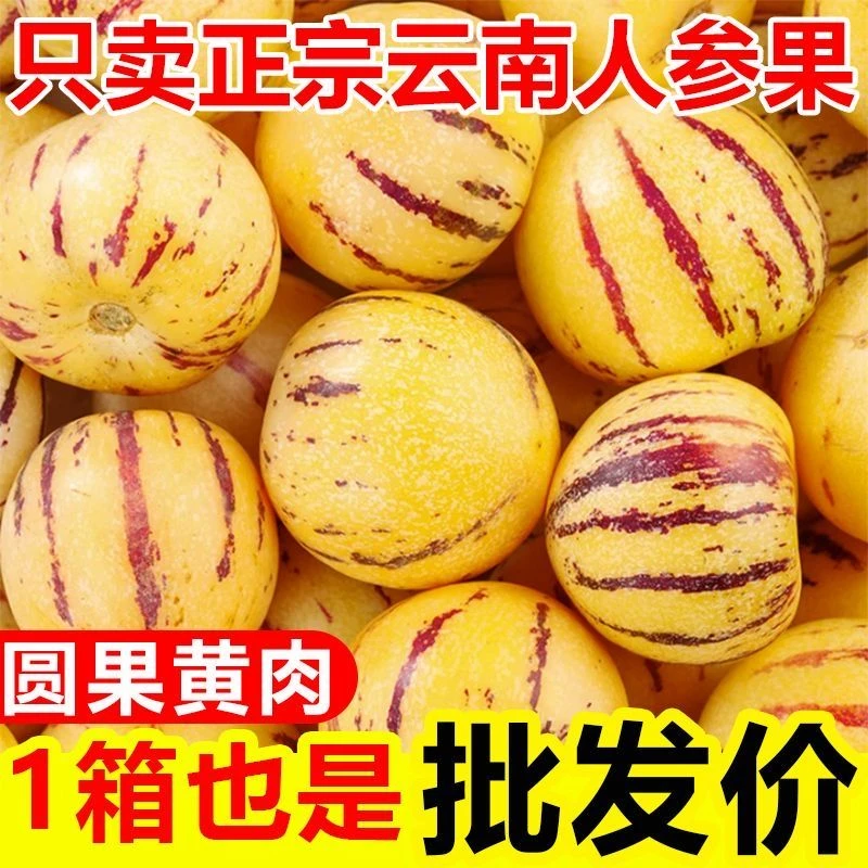 果王特果大果中果石林人参果树上自然成熟黄果采摘发货