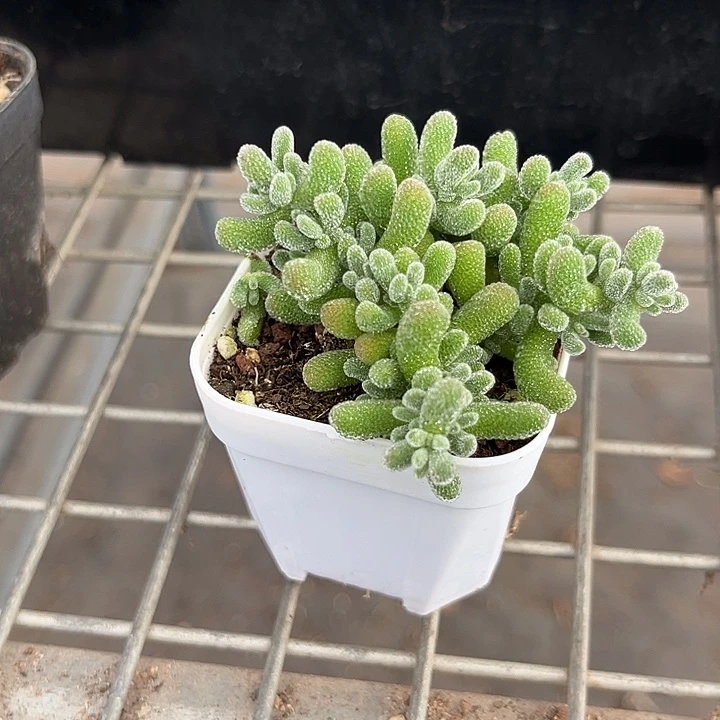 我也不知道我为什么要这样