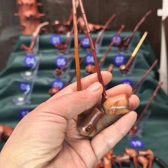 贵州檬子木一物一拍