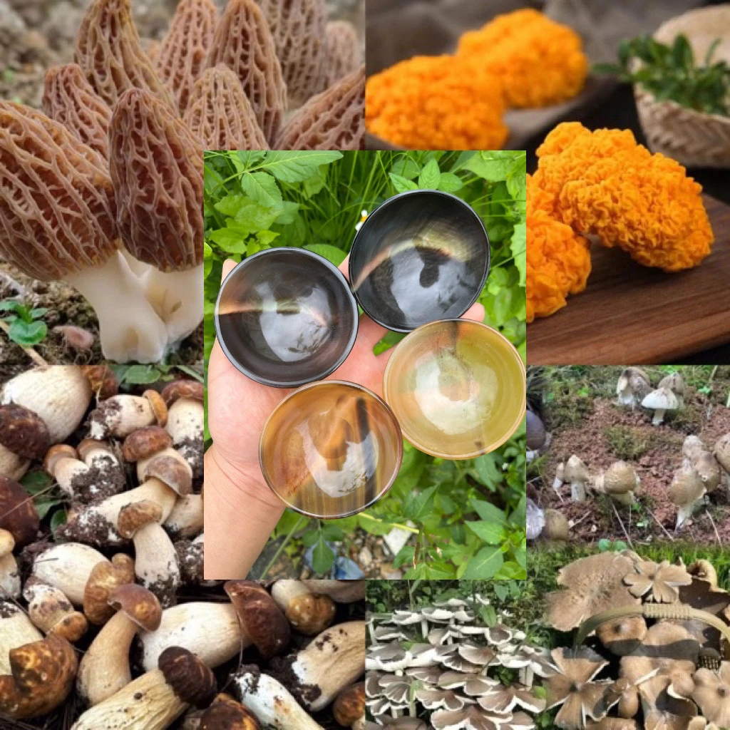 【彭彭现収山货】-老-牛-角-茶-杯-农产品