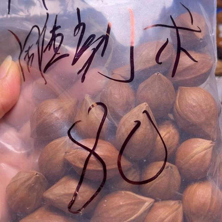 天***术橄榄核手串/手链111