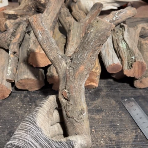 呼***谎大果紫檀（缅甸花梨）