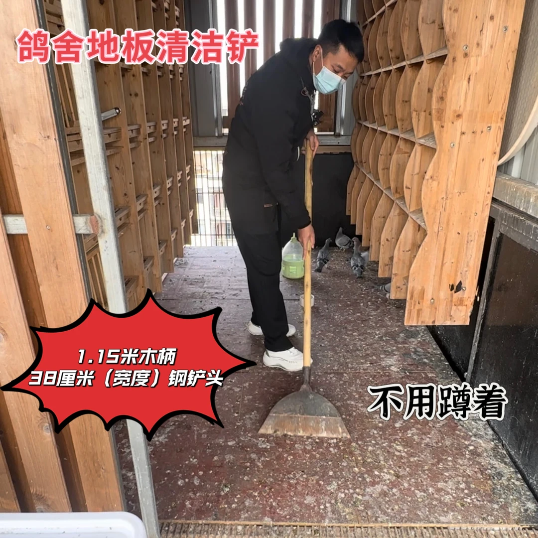 鸽舍清洁铲 养鸽必备 清洁工具神器
