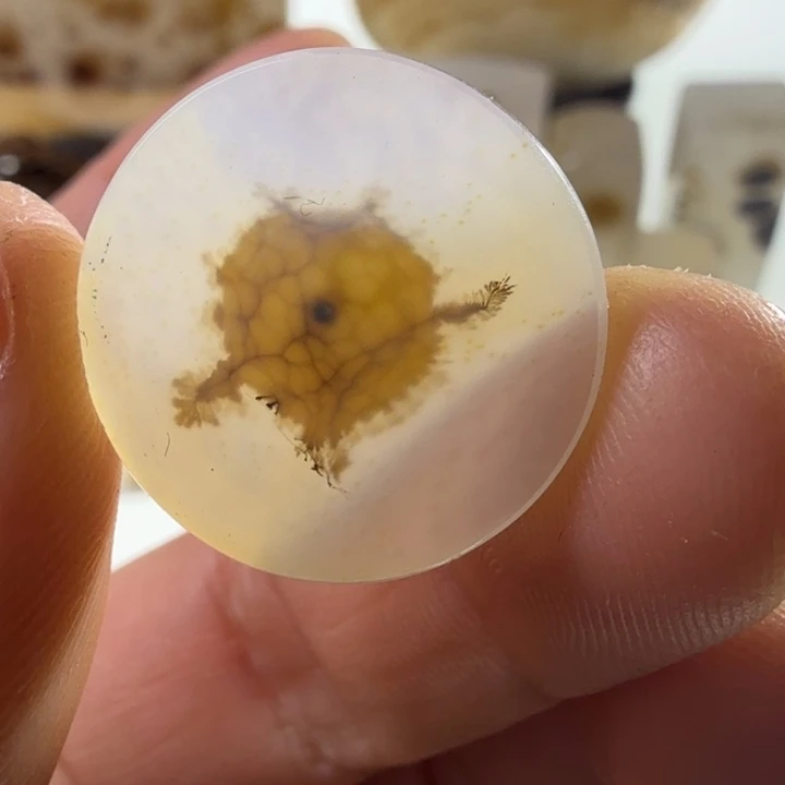 玛瑙/玉髓未镶嵌珠宝半成品