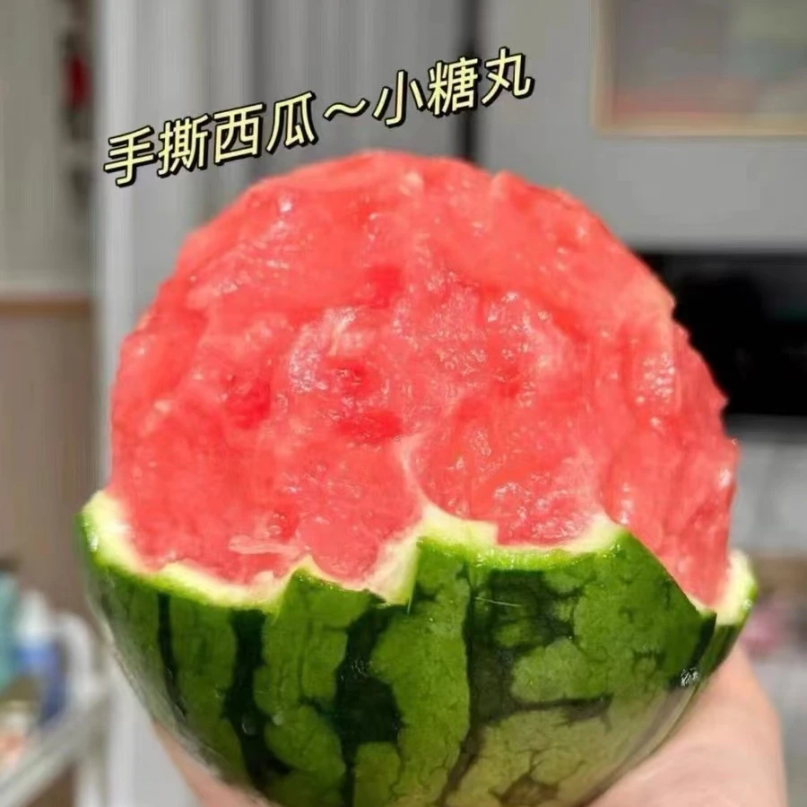 [强烈推荐]小糖丸西瓜一个约5斤左右 只要18块西瓜同城配上海市