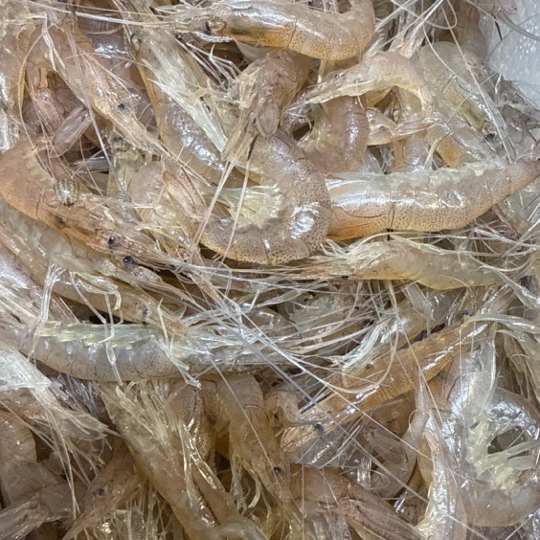 小白虾活度好保鲜不保活一斤35介意上午拍