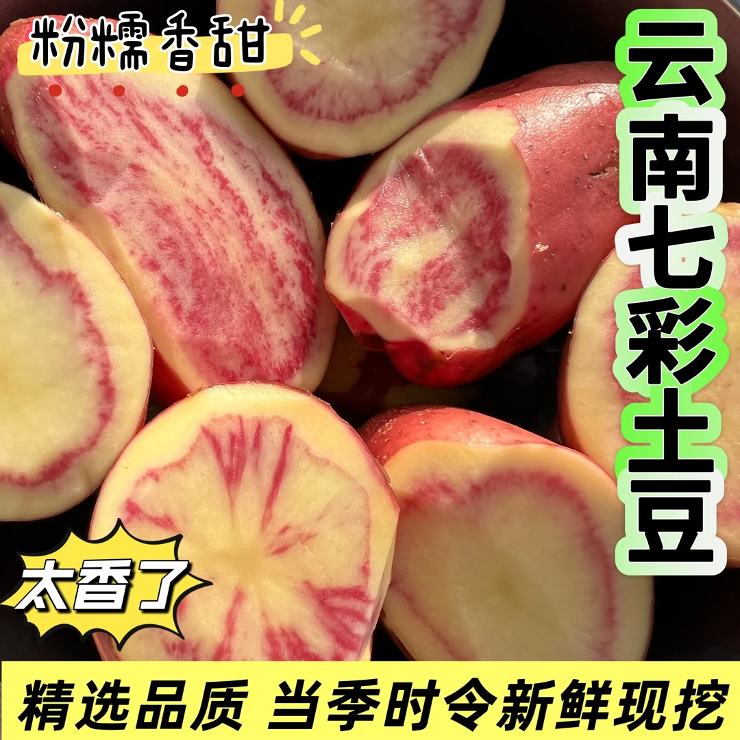 云南七彩洋芋丽江花心洋芋马铃薯新鲜现挖粉糯香甜农家自种土豆