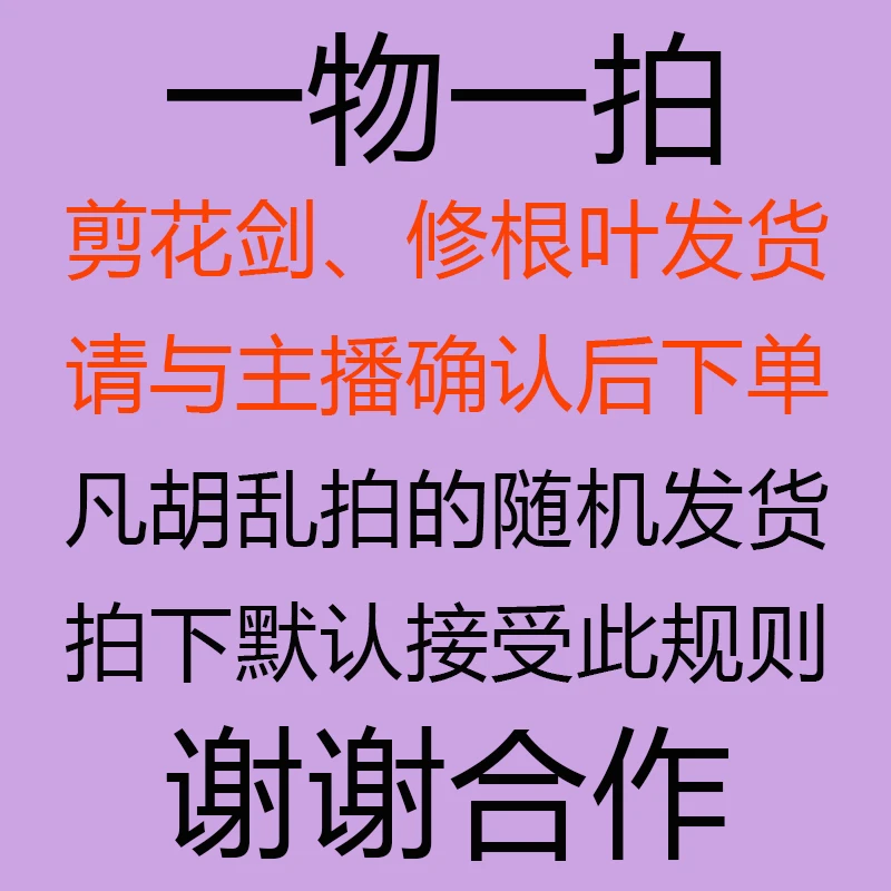 【臻萃流芳】一物一拍专用链接9