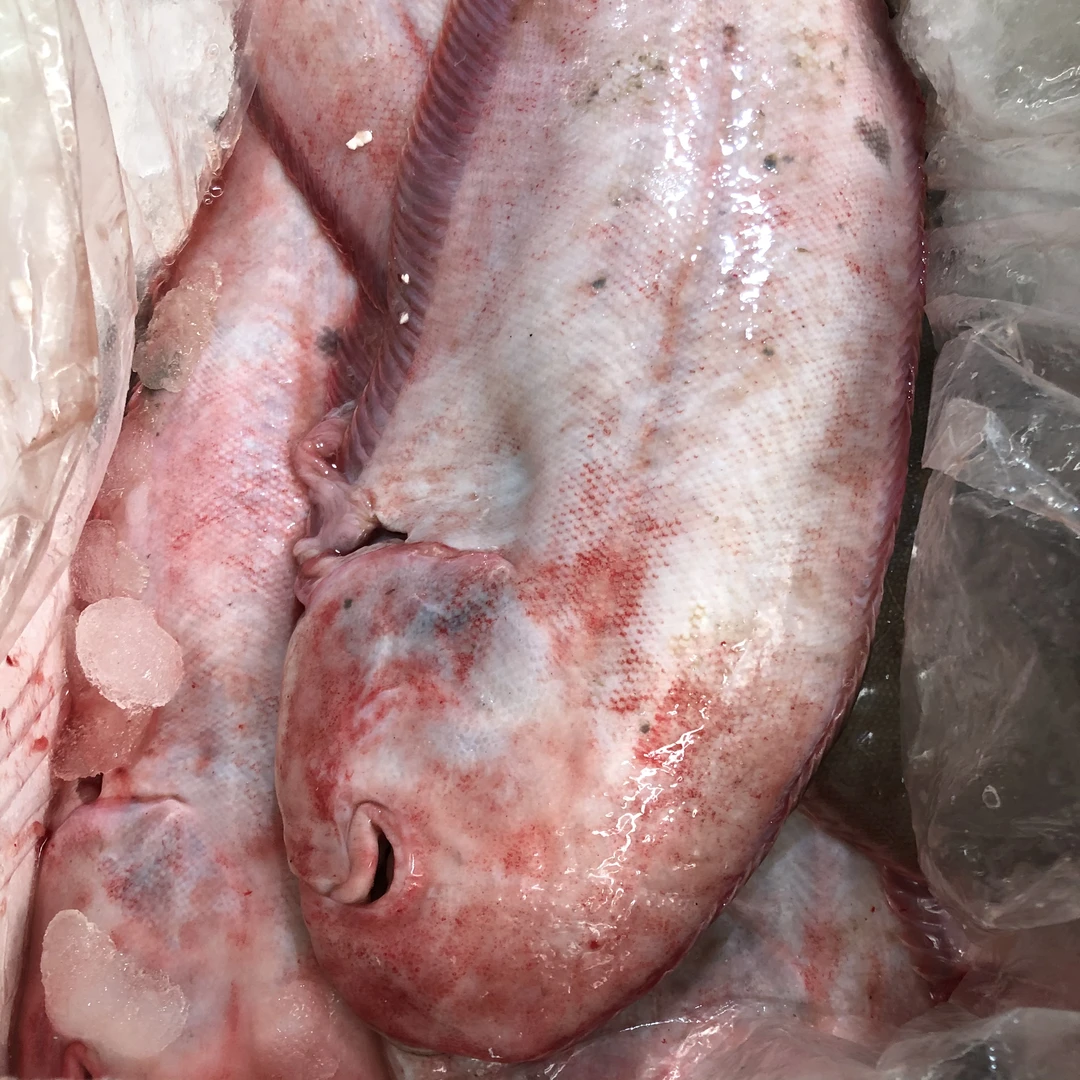 吕四海鲜 龙利鱼/踏板鱼 4斤=4条