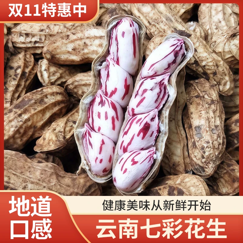 云南新鲜带壳七彩水果花生现挖现发颗粒饱满