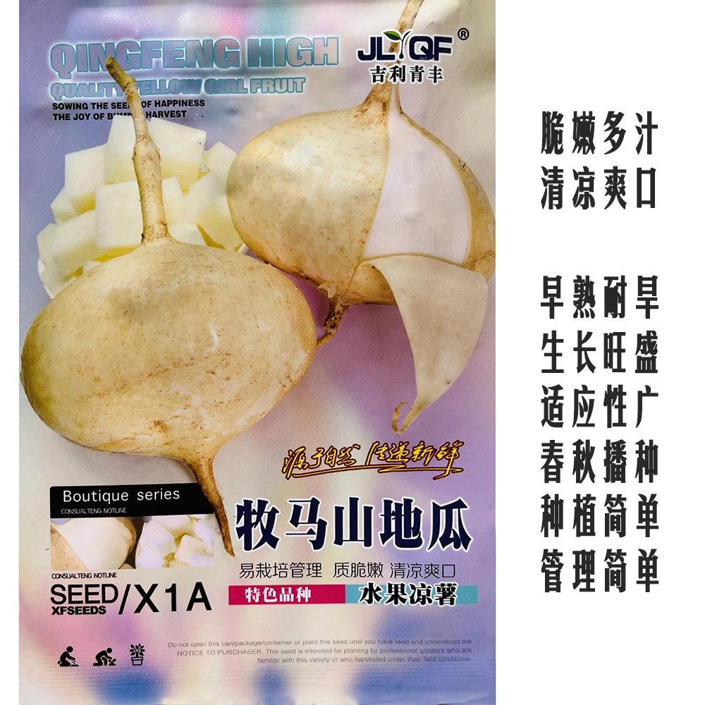 四川山地瓜种籽薄皮肉白纤维少鲜食水果地瓜种子早熟蔬菜品种