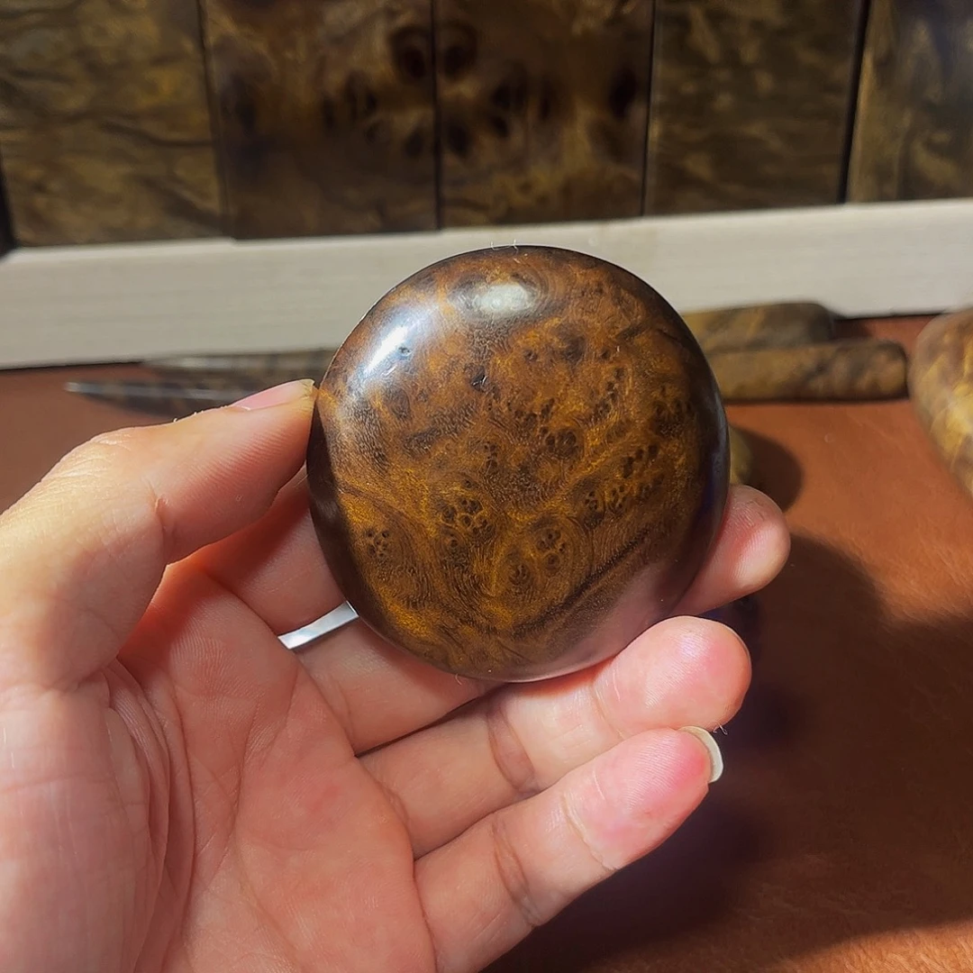 木乌木金丝楠小叶桢楠