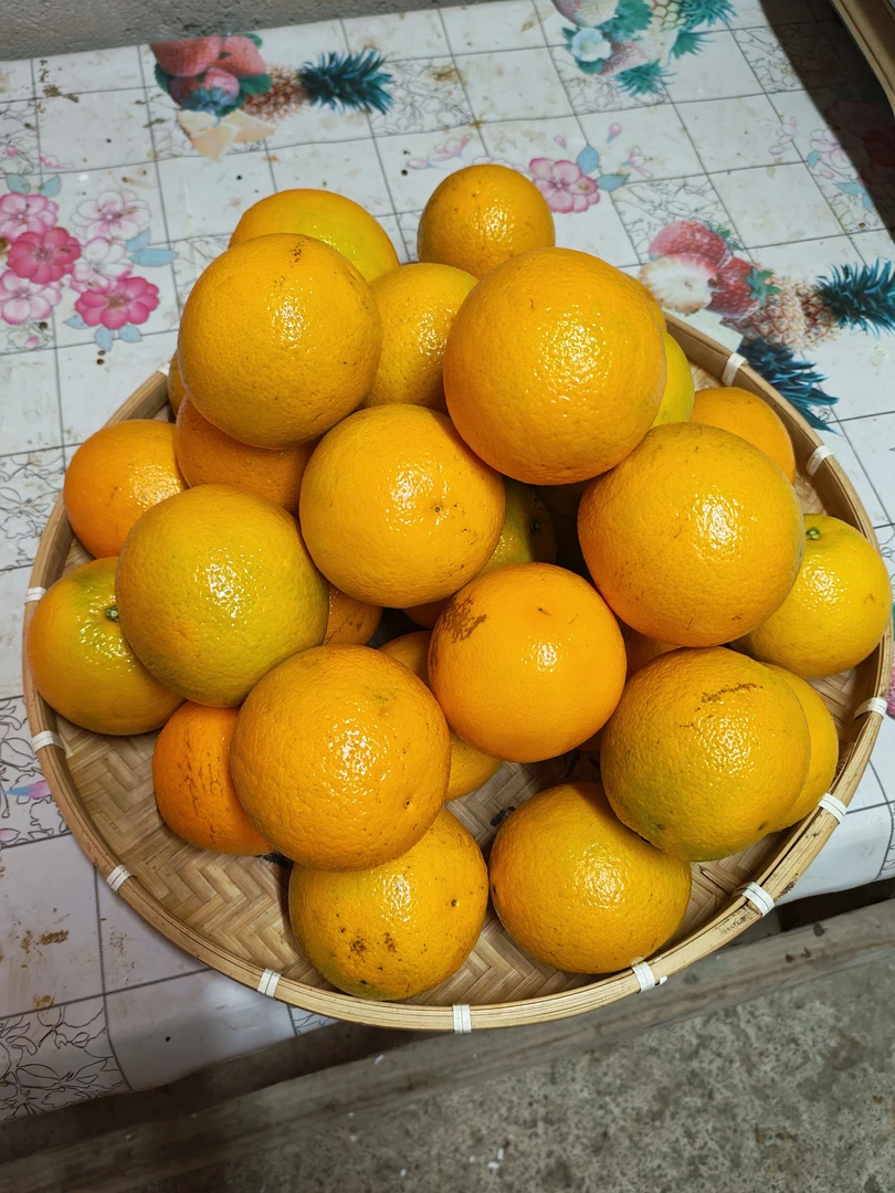 水果黄果贵州农家自种黄果露天天然成熟新鲜果子酸甜多汁