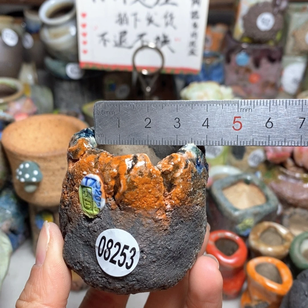 花盆拍3送一个小礼物