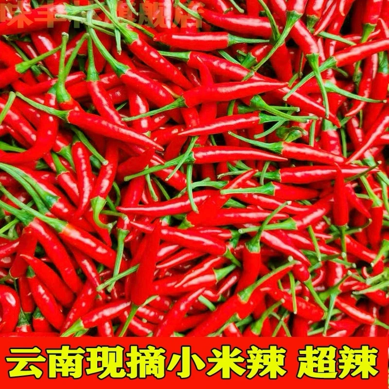 云南新鲜小米辣椒朝天椒现摘小米椒特辣超辣薄皮红辣椒指天椒