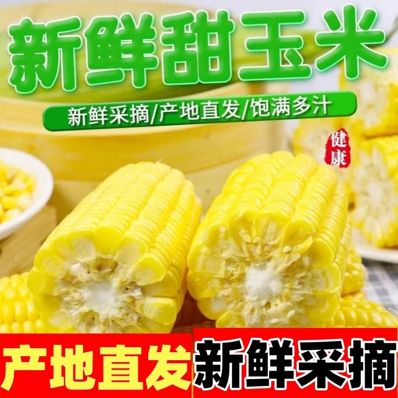 云南金黄鲜嫩香甜水果玉米新鲜生食玉米新鲜榨汁玉米棒包邮