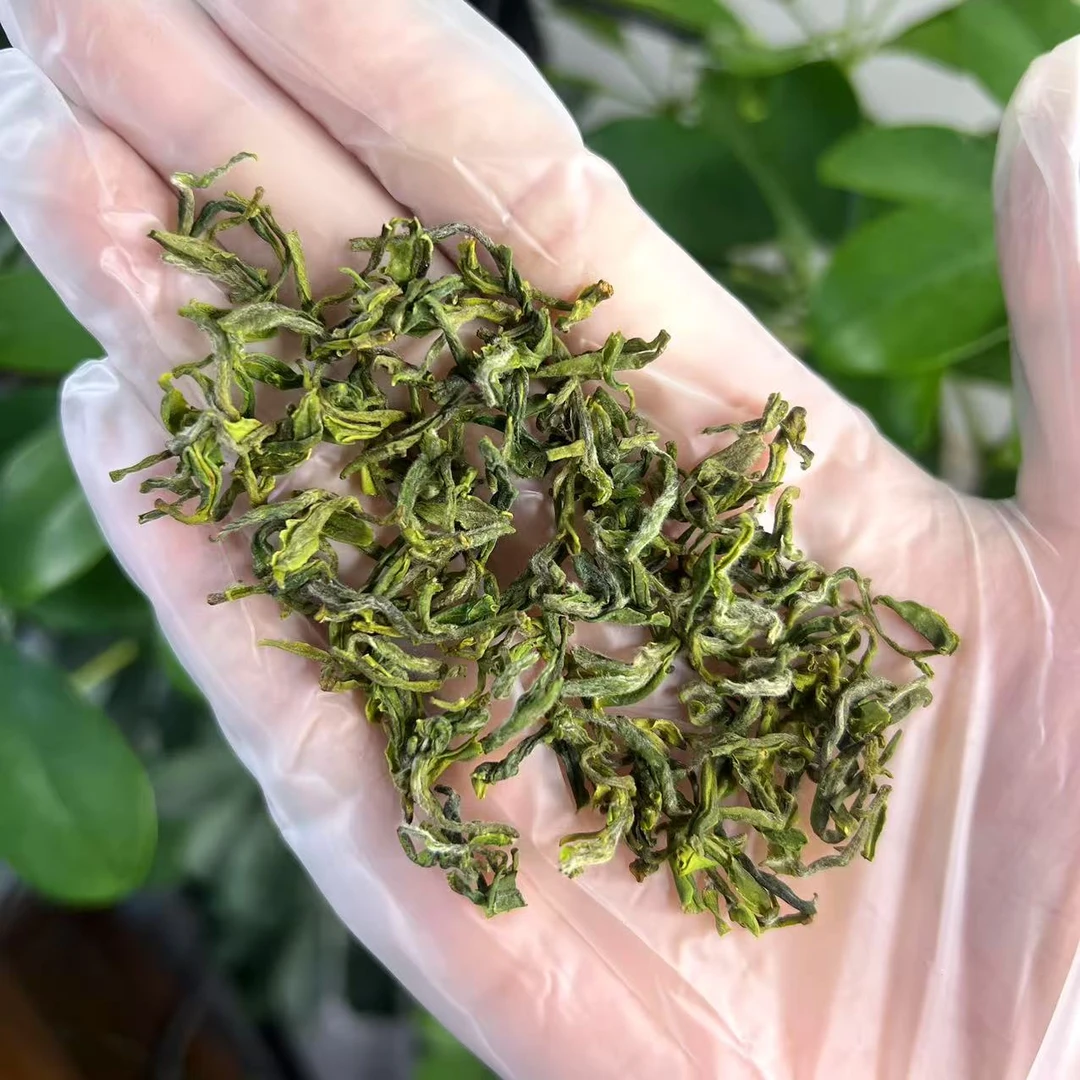 雲松山【头采春茶】2025日照绿茶露天头采春茶嫩芽鸡汤鲜4.13二号