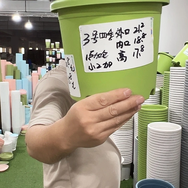 四季特价3号果绿色10个无托