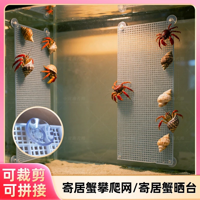 寄居蟹爬台爬梯豆丁辣椒蟹爬梯鱼缸隔离板攀爬藤螃蟹爬台乌龟晒台