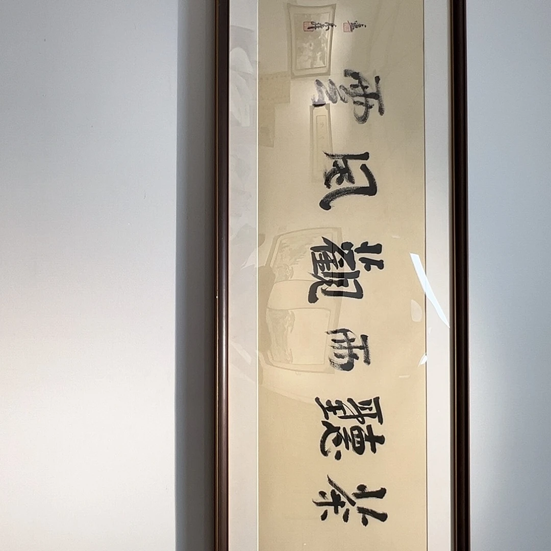 国画卢～禹舜书法作品