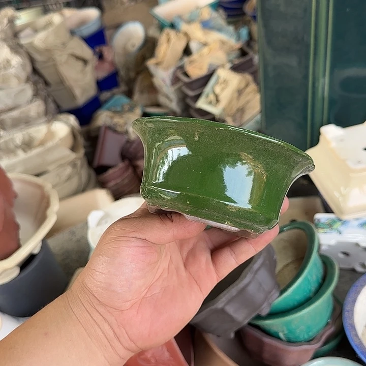 这一期太有意思咯嘛啊