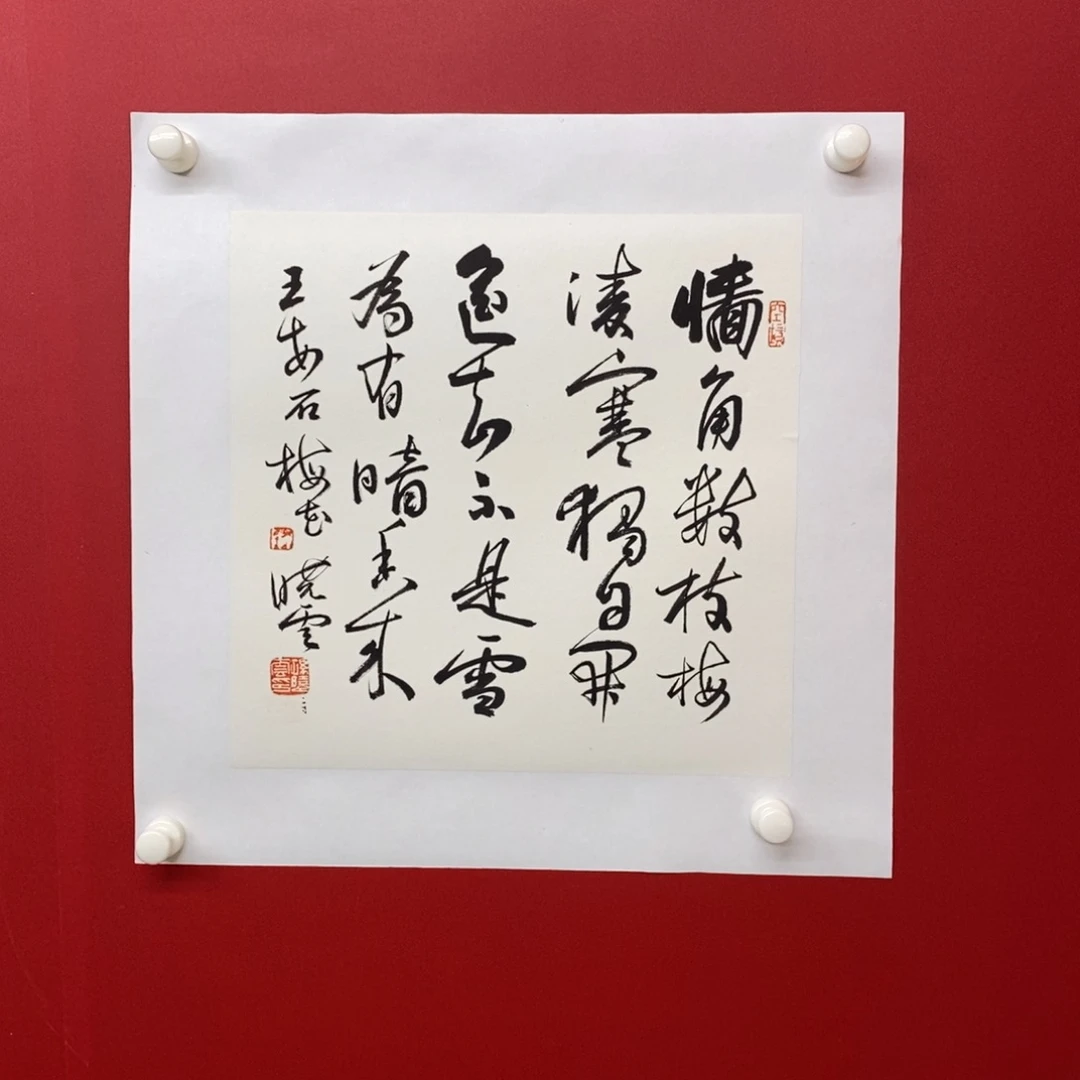 尚古202565689653325