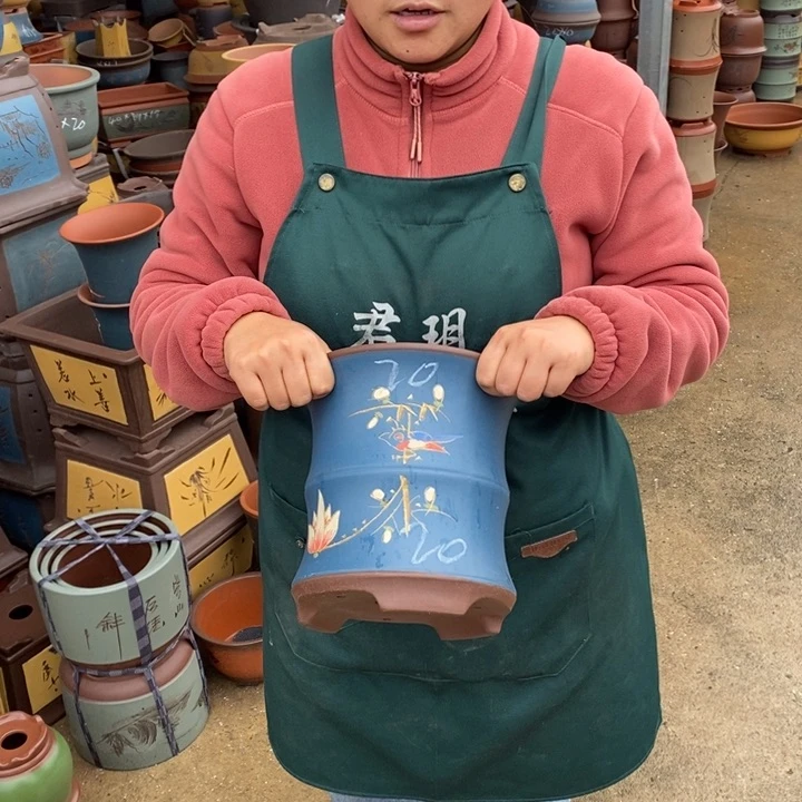 紫砂花盆盆栽花卉苗木种植