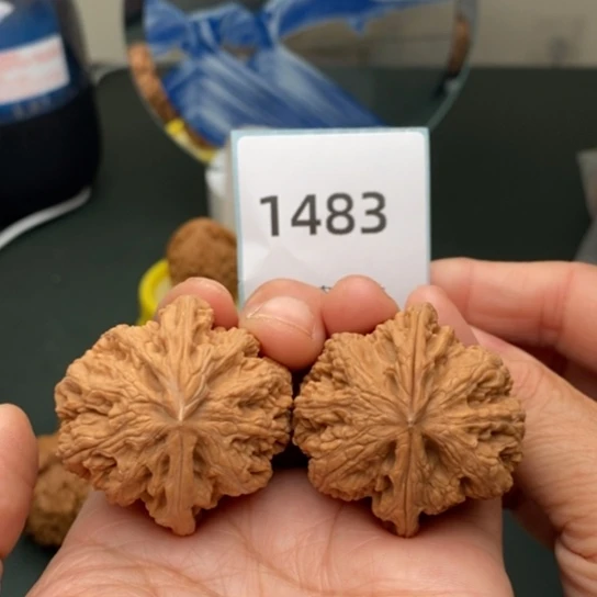 文玩核桃把件39.5大粗筋1483