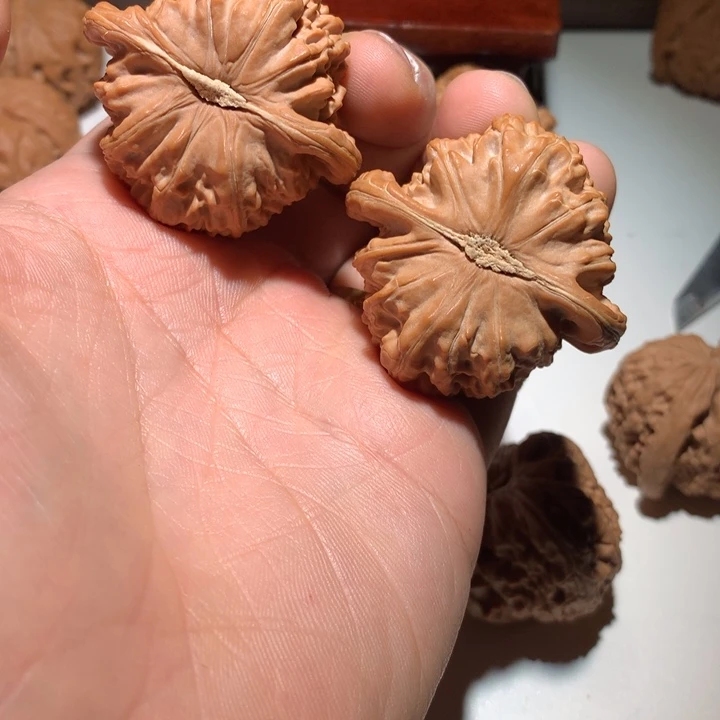 把件文玩核桃白狮子