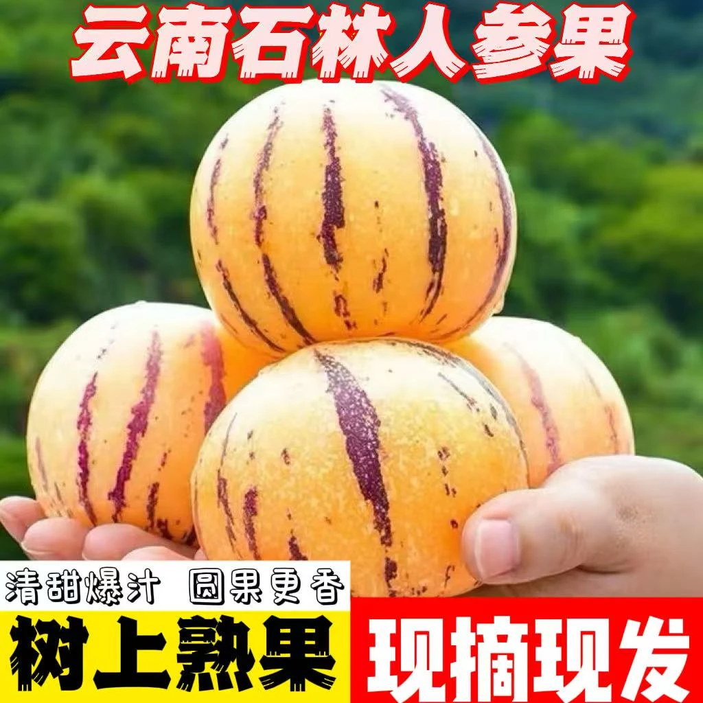 云南石林树熟人参果黄肉圆果新鲜低糖水果-d