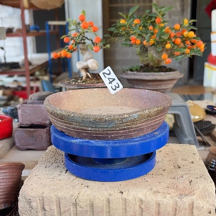 15x3//////：///243//////