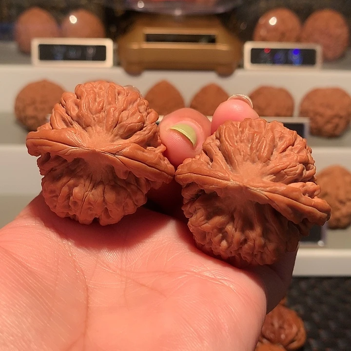 文玩核桃把件莲花41尺