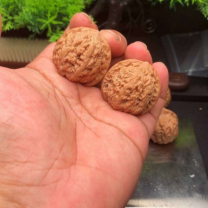 吊坠文玩核桃33蚂蚁钩