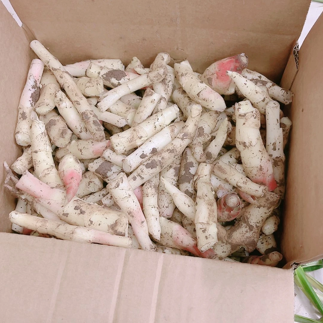 黄姜中国大陆碎姜