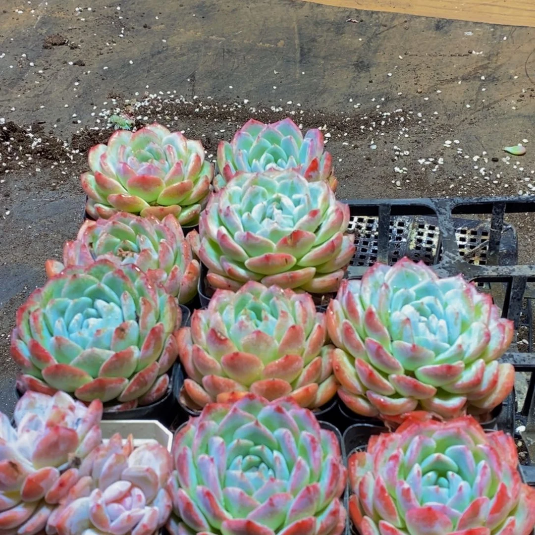 133的人在一起的时候就会觉得