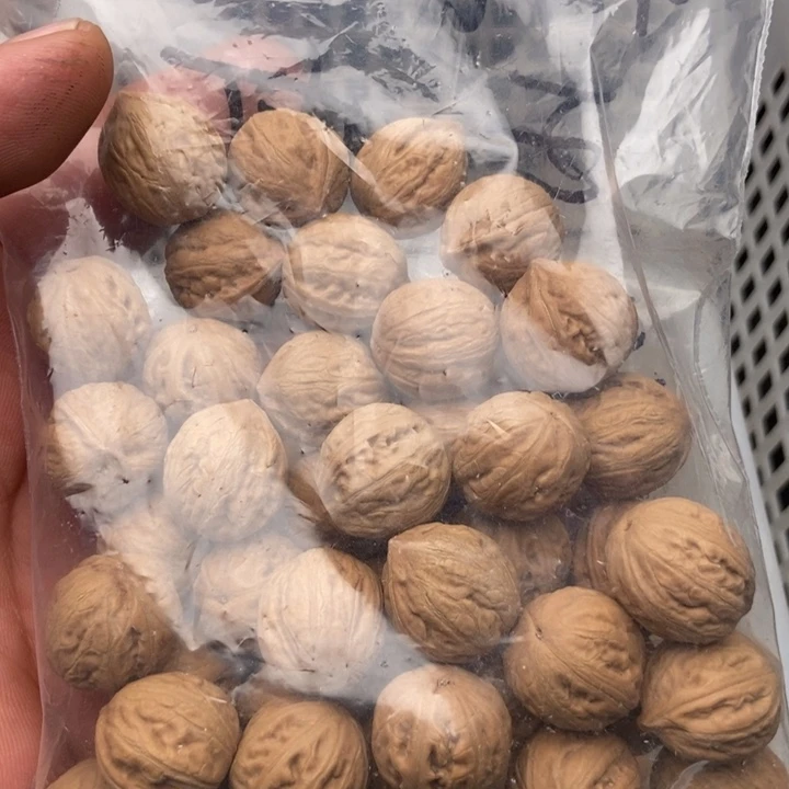 散籽40粒定制打孔，定制商品不退不换