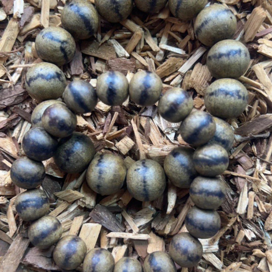 57 福来精选文玩沉香木作手串