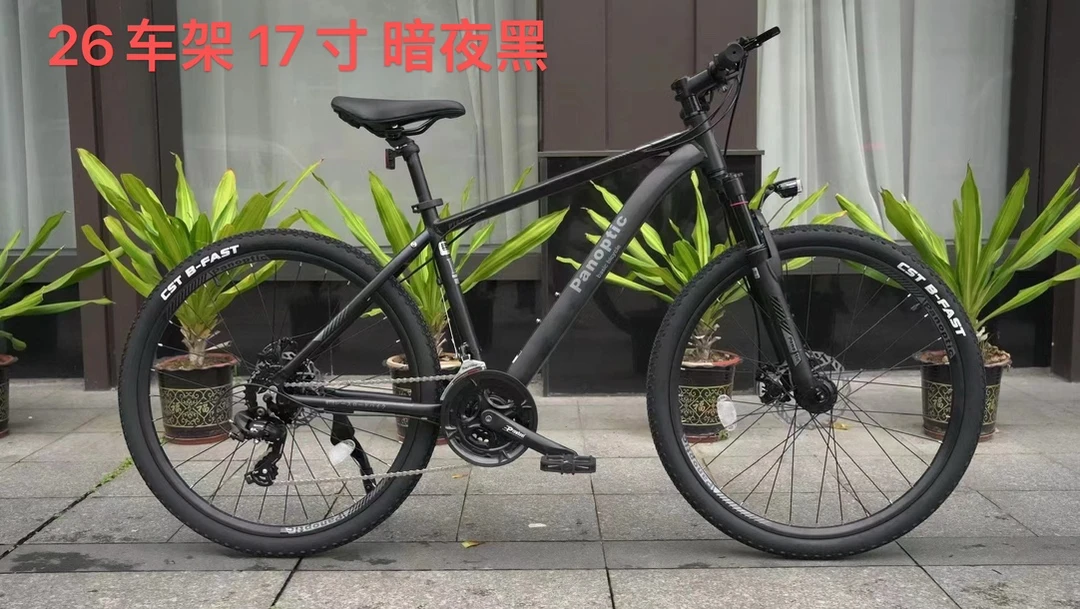 外贸原单派克特价山地车